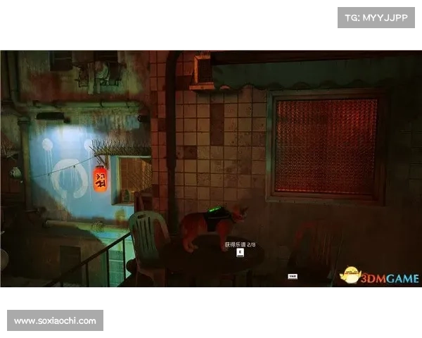 非凡攻略：解密记忆的秘密