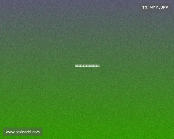 申城竞放：荣耀：荣耀之巅的电竞江湖